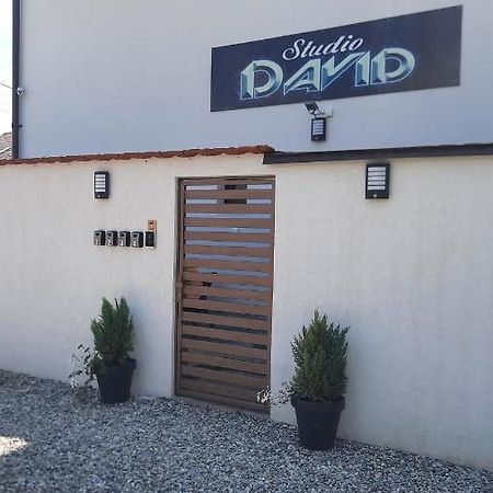 *Studio David* Sibiu Ngoại thất bức ảnh