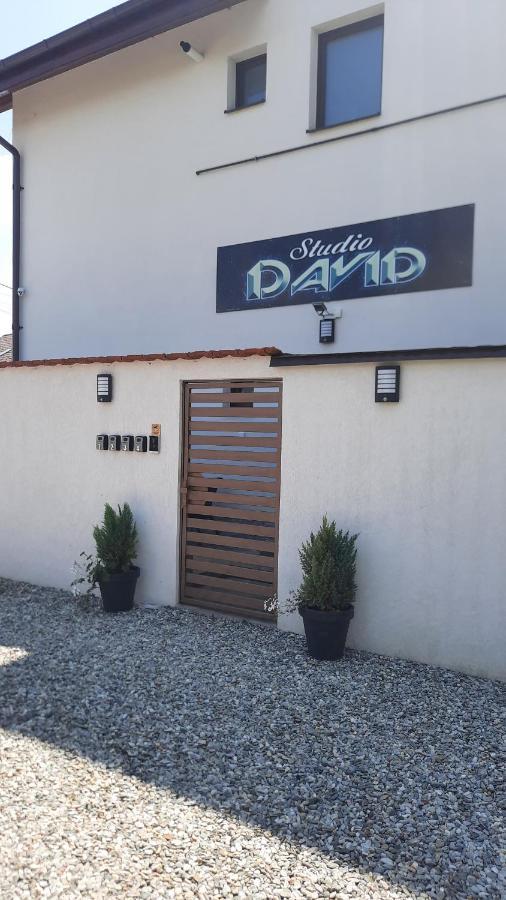 *Studio David* Sibiu Ngoại thất bức ảnh